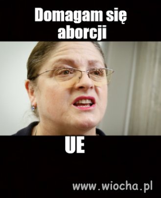 Krycha domaga się usunięcia Unii Europejskiej