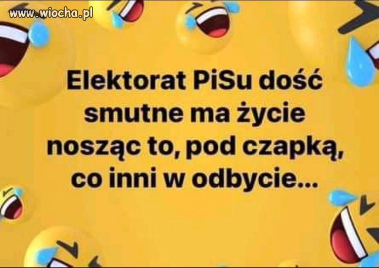 Elektorat 