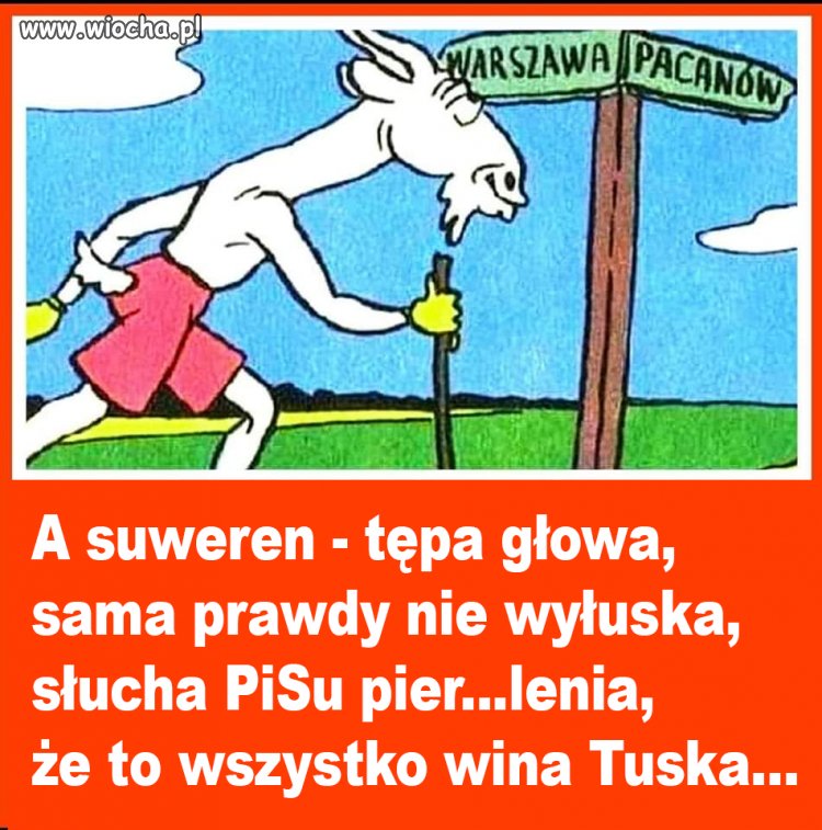 Cała prawda o suwerennie popierającym bezkrytycznie pisiornię