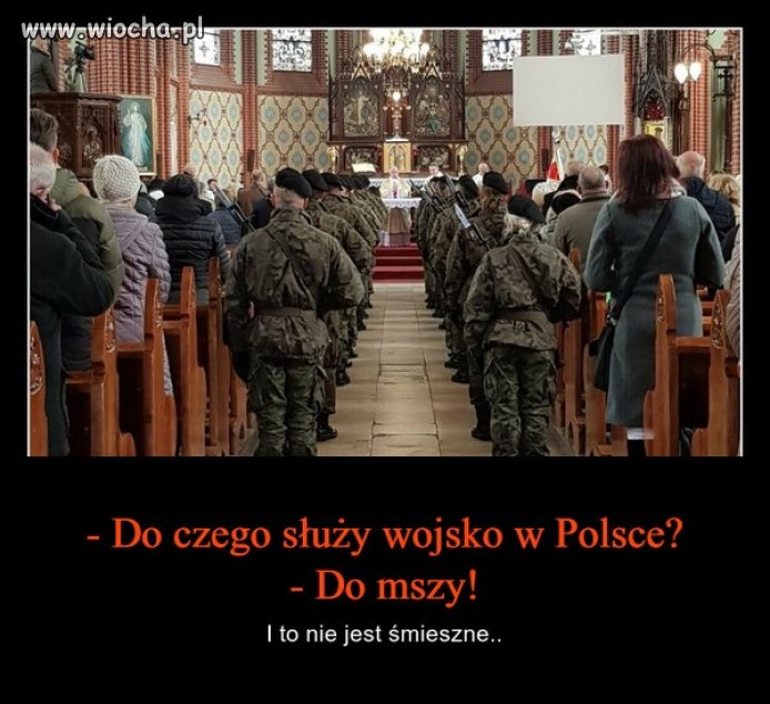 Witamy w kartonowym kraju