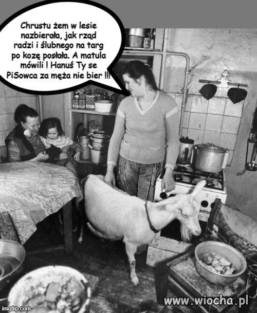 Lepiej wódkę pić z gumowca