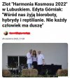 Pani Edyto