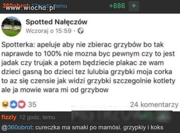 Taki apel odnośnie grzybów