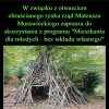 PiS spełnia obietnice wyborcze...
