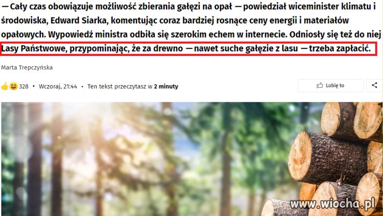 Idź do lasu chrustu nazbieraj