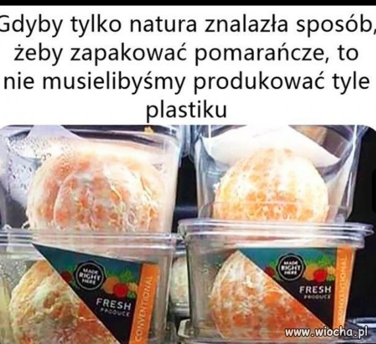 Ekologia przede wszystkim