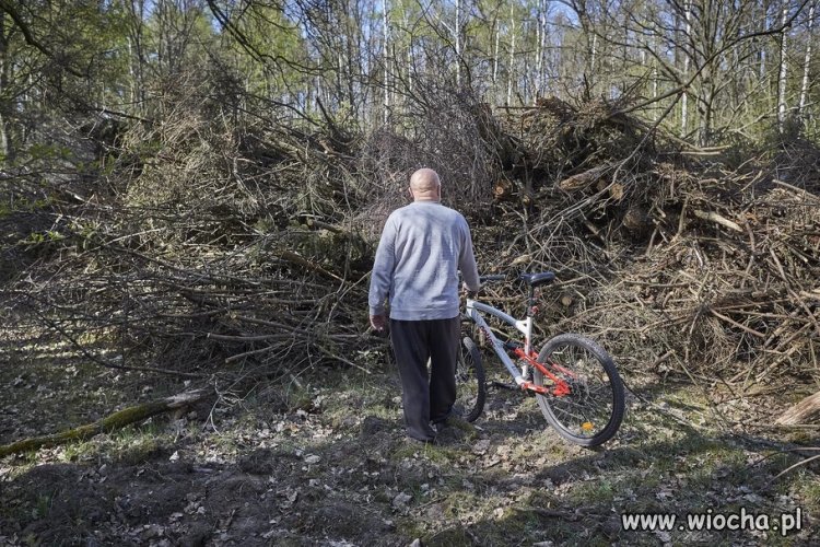 Ekologicznym pojazdem na zbiór chrustu