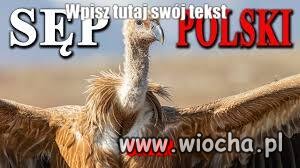 Nowe logo ORLEN