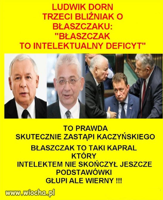 Mierny ale wierny... Jak każdy z PISowskiej kadry!