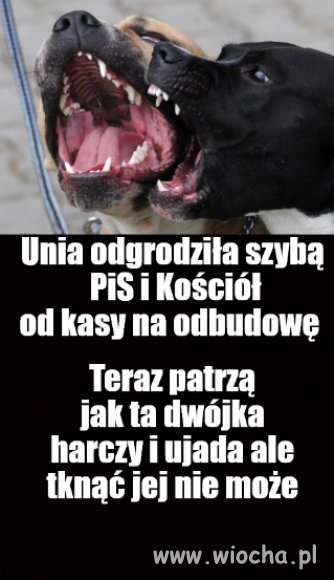 Teraz patrzą jak tej dwójce cieknie ślina na widok pieniędzy
