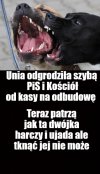 Teraz patrzą jak tej dwójce cieknie ślina na widok pieniędzy