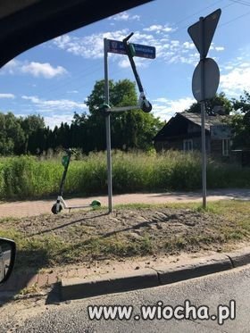 Niektórzy to mają pomysły, prawda