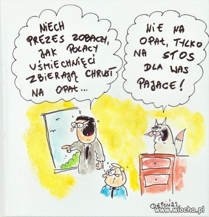 Nie żebym coś sugerował...