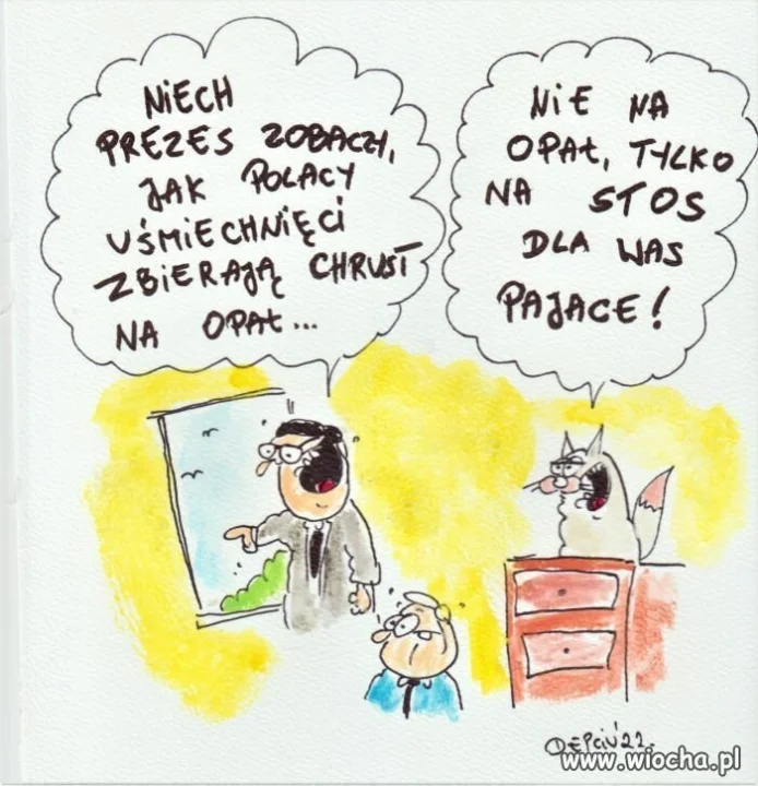 Nie żebym coś sugerował...