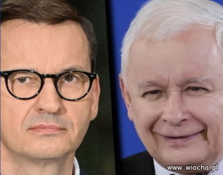 Głupi i głupszy.