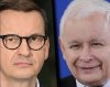 Głupi i głupszy.