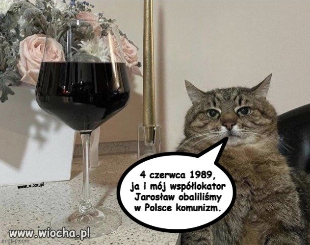 Młodzi nie wiedzą, 