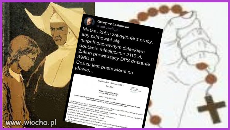 Pingwiny super biznes robią,