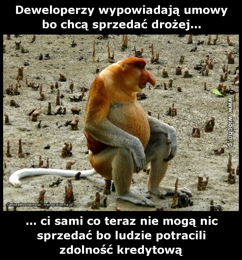 Deweloperzy wypowiadają umowy bo chcą sprzedać