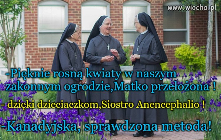 Kanadyjska metoda