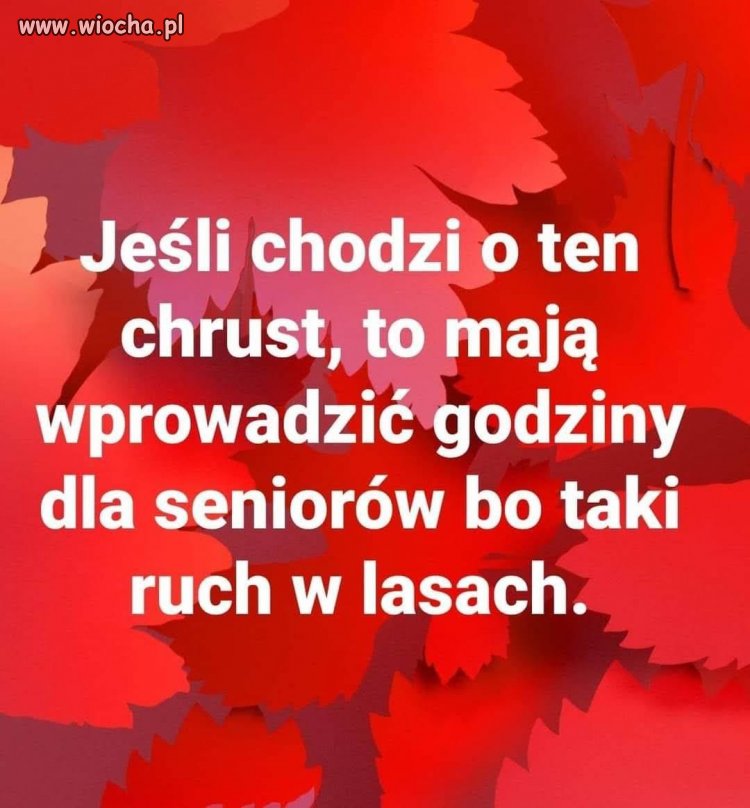 I to wcale nie musi być żart...