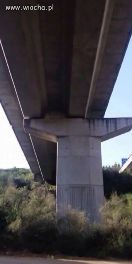 Trochę się inżynier 