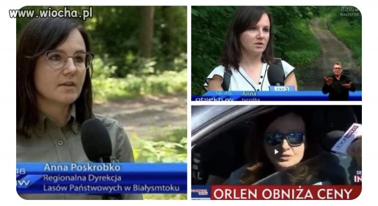 Panią Anię lubi kamera (TVPiS)