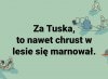 Potwierdzam 