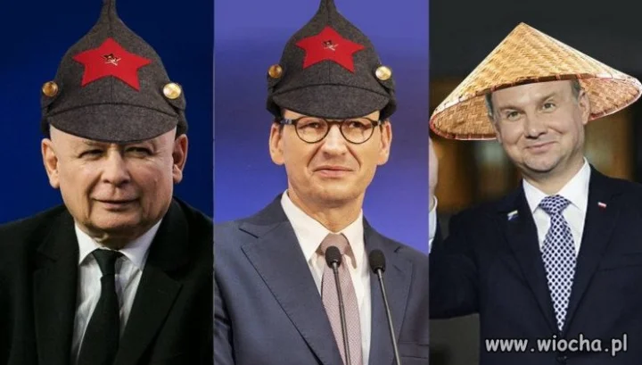 Brednie dla debili.