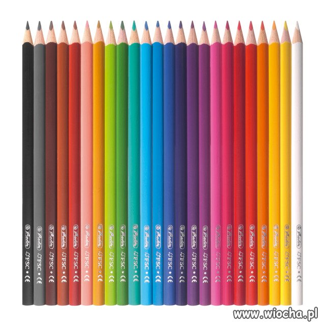 Gangusy LGBT