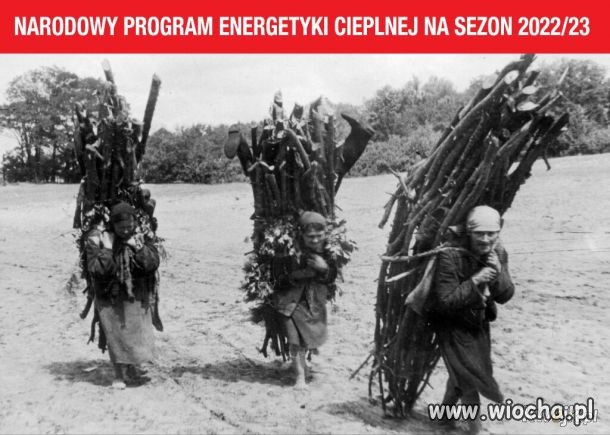 Miał być atom, węgiel...będzie chrust