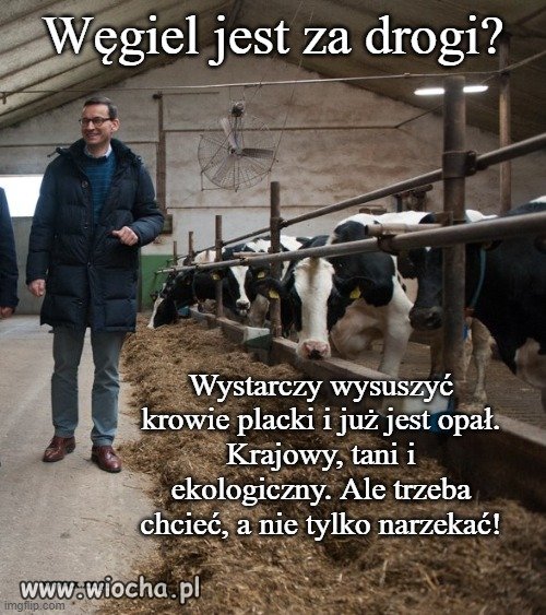 Śmierdzi? no cóż...