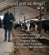 Śmierdzi? no cóż...