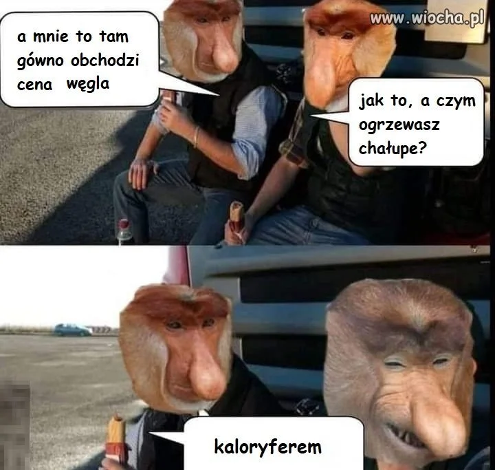 Mądrego czasem