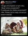 Przepowiednia 