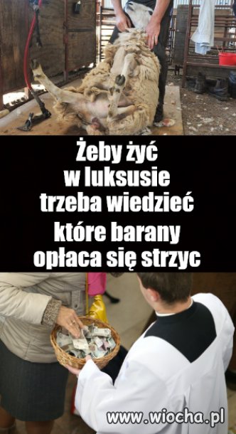 Fryzjer fryzjerowi nierówny