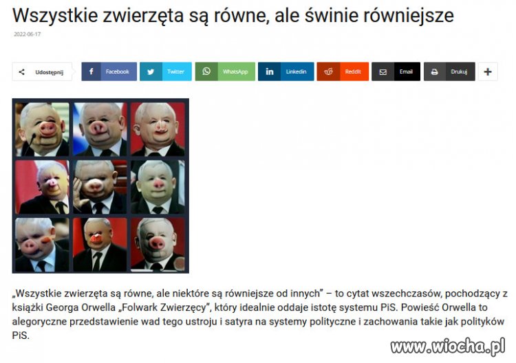  Kaczyński byłby w powieści Orwella pierwszą świnią
