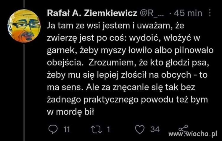 Ja tam nad Ziemkiewiczem chętnie poznęcam się