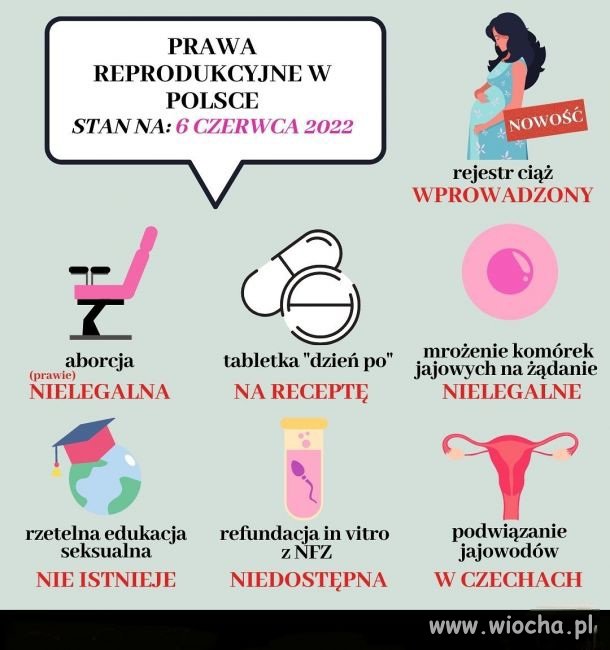 KatoTaliban made by PiS 