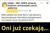 Główne zajęcie pisowskich patusów