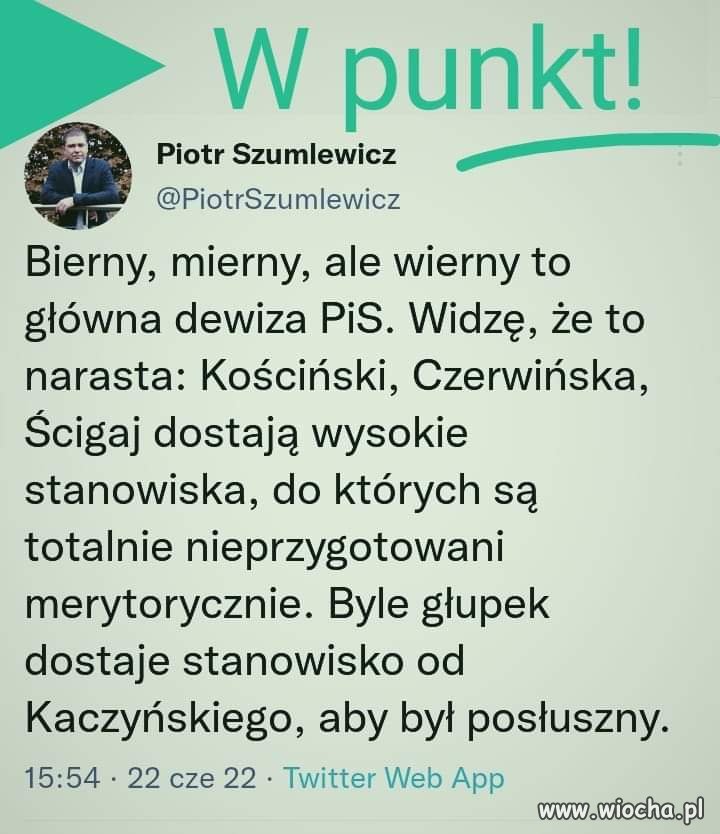 W punkt! 