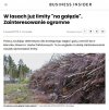 Koniec z darmowym chrustem?