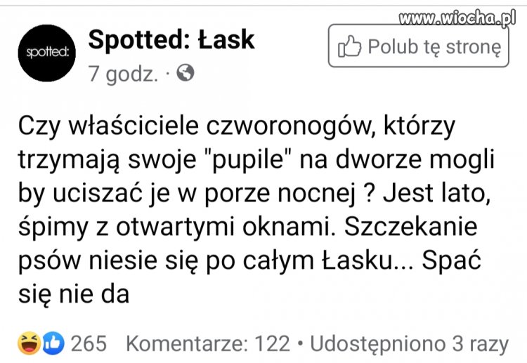Próbowałam psu tłumaczyć, żeby się ogarnął 