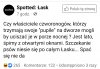 Próbowałam psu tłumaczyć, żeby się ogarnął 
