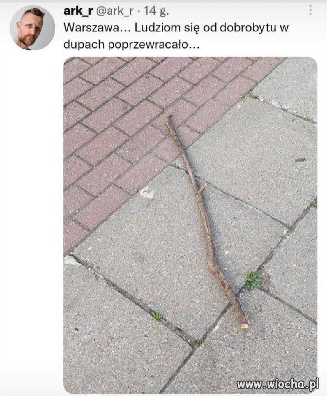 Bogate społeczeństwo 