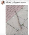 Bogate społeczeństwo 