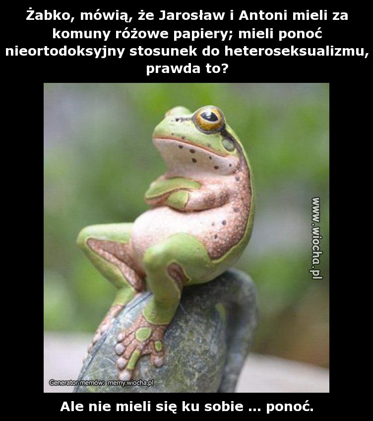 Żabko, mówią, że Jarosław i Antoni mieli za komuny