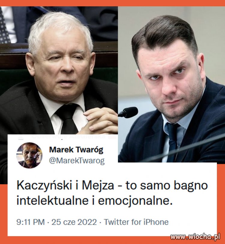 Ma rację
