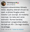 Bezczelni Pisowcy