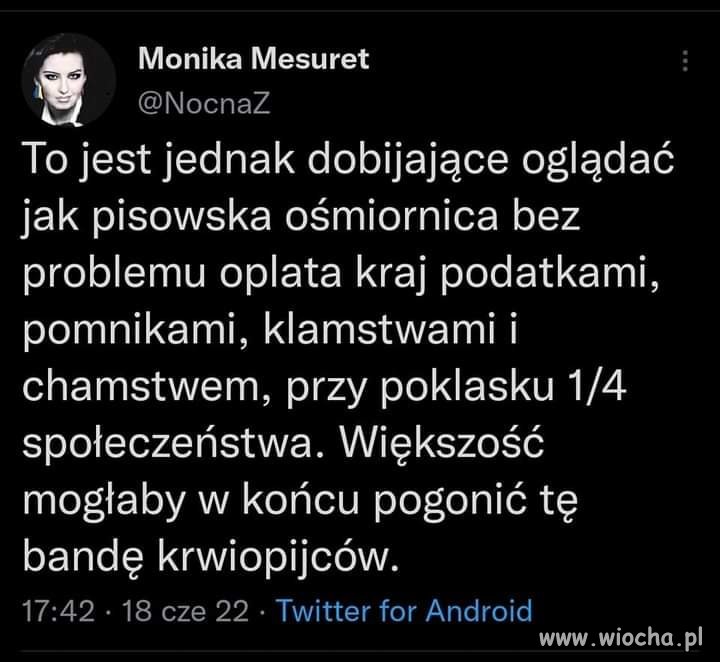 Kiedy TACZKA+?